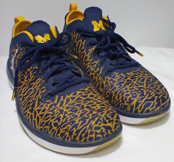 Jordan Trainer 1 Low Michigan Men's Basketball Shoes Size 11