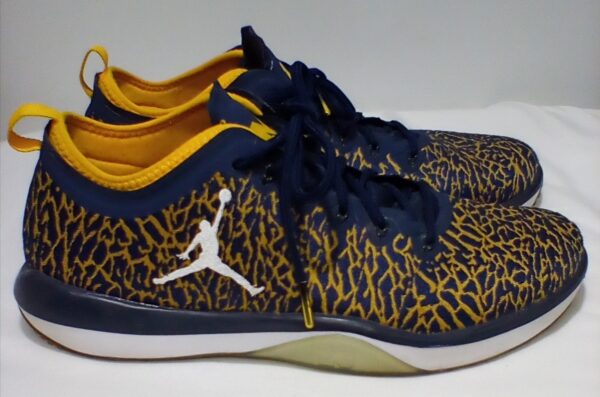 Jordan Trainer 1 Low Michigan Men's Basketball Shoes Size 11 - Image 2