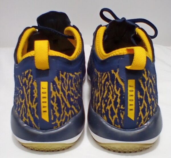 Jordan Trainer 1 Low Michigan Men's Basketball Shoes Size 11 - Image 3