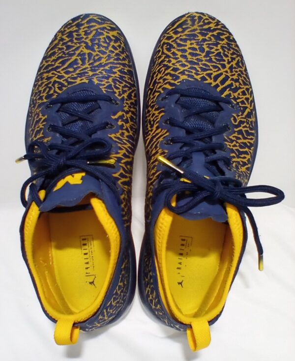 Jordan Trainer 1 Low Michigan Men's Basketball Shoes Size 11 - Image 4