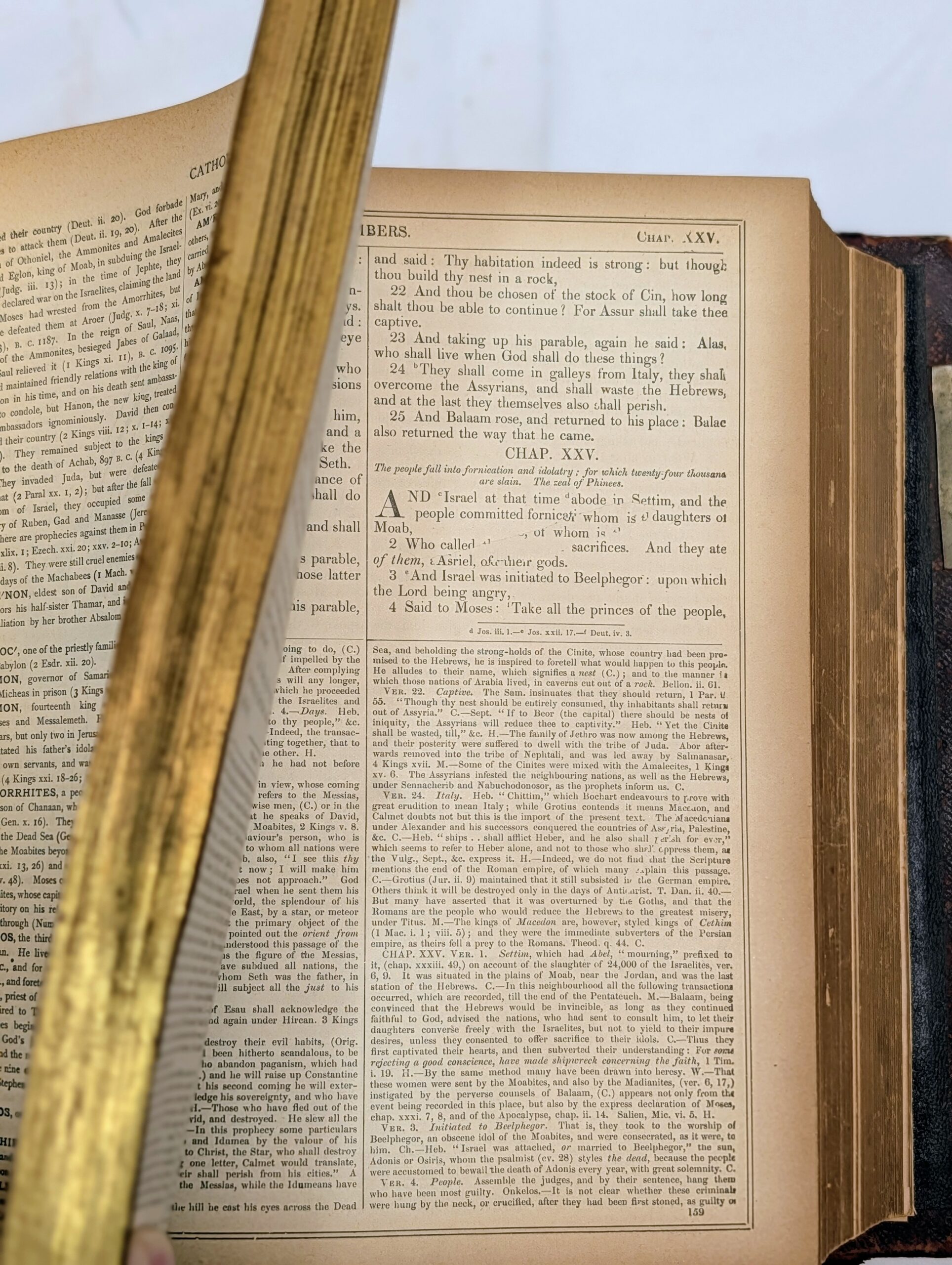 Antique 1892 Catholic Family Bible: Douay-Rheims, Haydock Illustrated, Sculpted Leather, Metal Clasps - Image 8