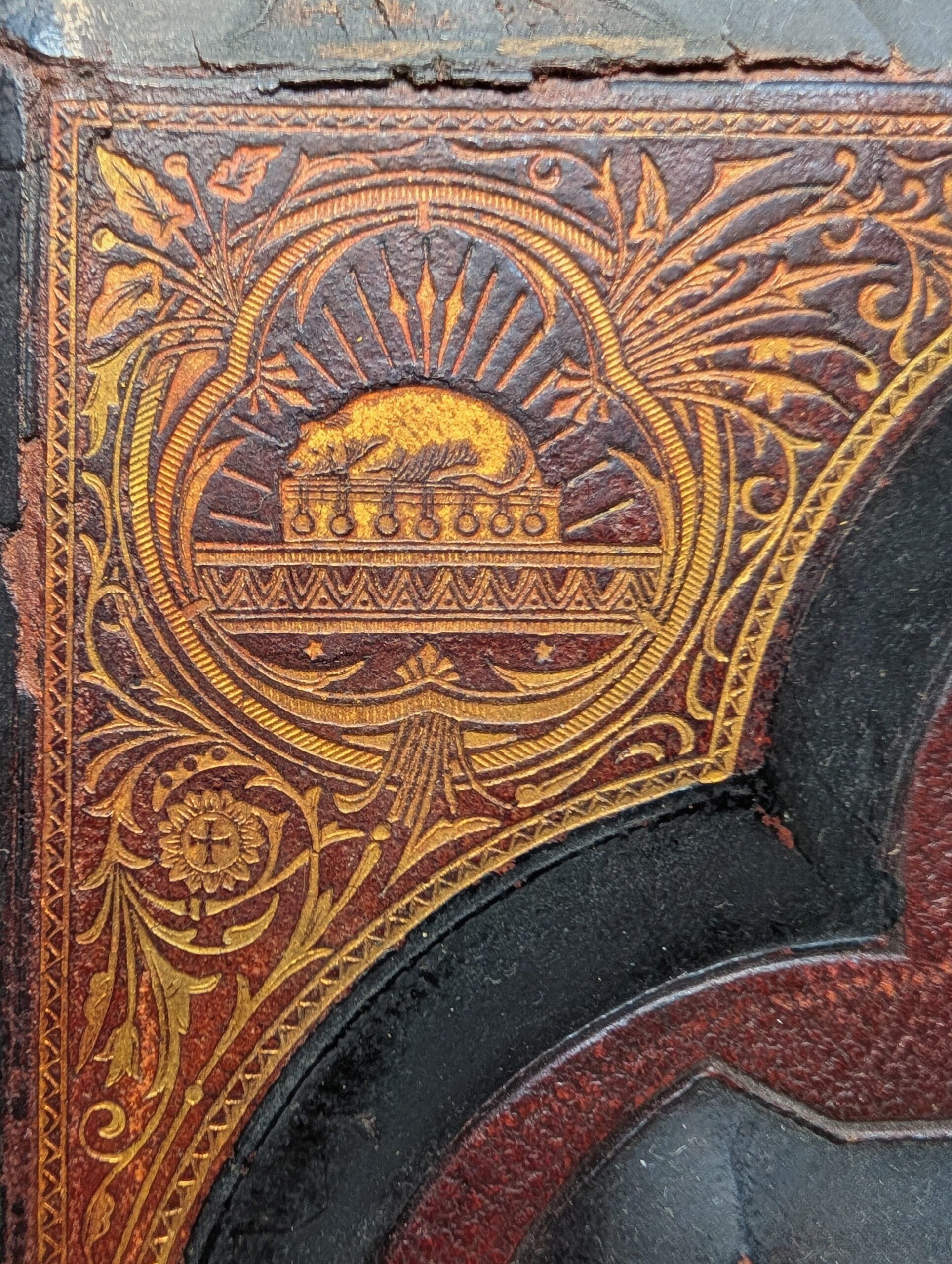 Antique 1892 Catholic Family Bible: Douay-Rheims, Haydock Illustrated, Sculpted Leather, Metal Clasps - Image 16